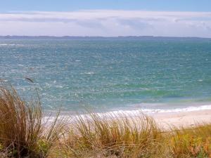 Appartements Duplex 5 pieces avec balcon a 30m de la plage - 7 couchages, acceptant animaux, wifi et parking - FR-1-349-114 : photos des chambres