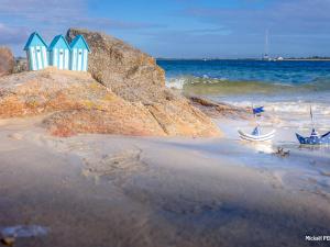 Appartements Duplex 5 pieces avec balcon a 30m de la plage - 7 couchages, acceptant animaux, wifi et parking - FR-1-349-114 : photos des chambres