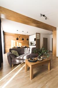 One-Bedroom Comfort Apartment with Fireplace and air conditioning room in Apartamenty Forma Tatrica
