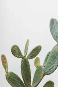 Domìa Boutique Hotel e Cucina