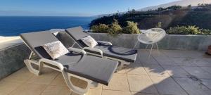 Tropical Leaves Puerto de la Cruz Tenerife