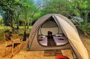 silver travel sand safari