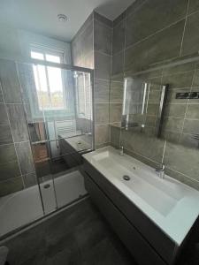 Maisons de vacances Grand Gite le Skieur a Besse : photos des chambres