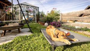Privates Chalet mit Garten Hot Tub Kamin Bergblick