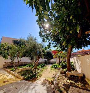 Stanza Farina con Bagno img20