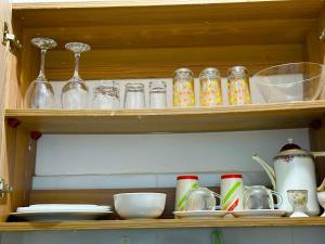 Softlife Home Classic Studio 2