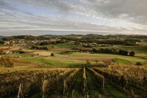 Holiday home in Smarje pri Jelsah Stajerska Untersteiermark 26087