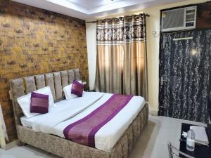Hotel Green Snapper100 m from Delhi University Near Isbt Kashmiri Gate