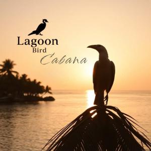 Lagoon Birds - Tangalle