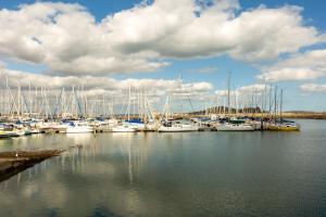 Modern Studio by the Marina