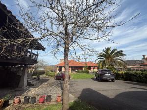 Finca Gonzalez