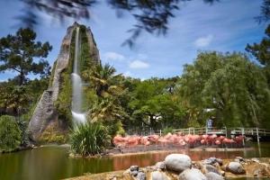 Maisons de vacances Maison charmante a Vaux-sur-Mer avec piscine partagee : photos des chambres