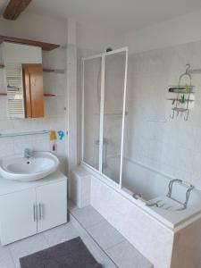 Apartmán v podkroví Olomouc