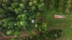 Trekking Camp am Renchtalsteig - 奥佩瑙