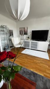 Villa in historical Uppåkra between Lund and Malmö