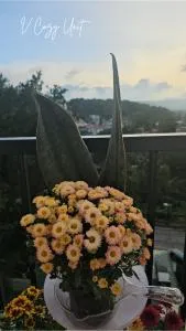 V Cozy Unit Baguio City - Allauan