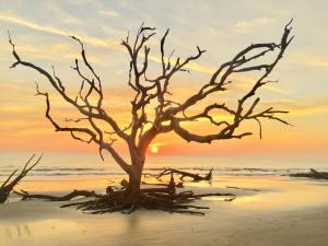 Sandy Toes A & B Whole Duplex