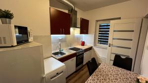 Apartament Lublin Stare Miasto "Bob Cat"