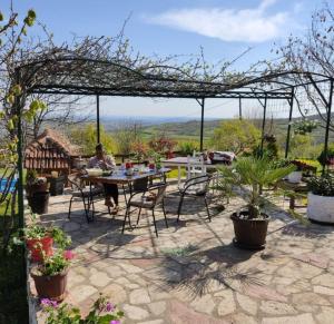 Etno kompleks Orahovac - Vila Paun