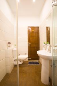 Alaya Stays Kasauli Woods Cottage 3 BHK Retreat with Outdoor Lounge & Balcony