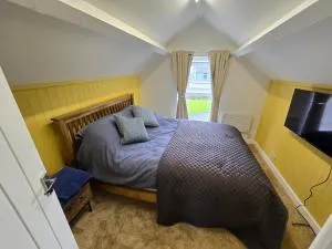 Gower Fresh Christmas Trees - 高尔顿