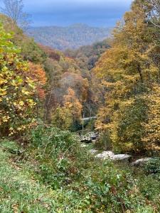 Windows Over Waterfalls