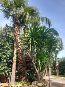 Villa Costa Mondello