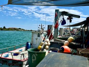 Maisons de vacances Pescad Home Maison 3 etoiles plein centre de Valras a 130m de la plage : photos des chambres