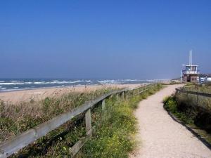 Appartements Duplex a 300m de la plage, parking privatif, animaux admis - FR-1-465-116 : photos des chambres