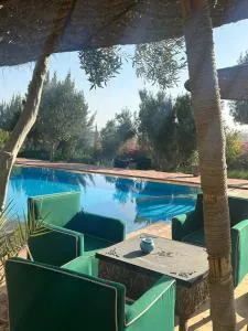 Dar Mimosa - 西迪考乌奇