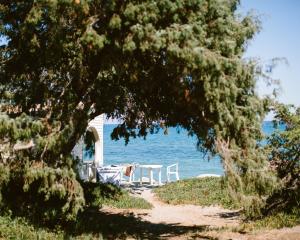 Campings Domaine Naturiste de Riva Bella : photos des chambres