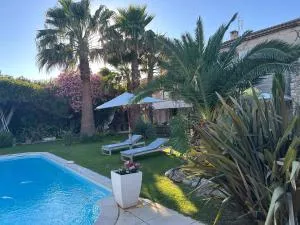 Mas de Sophie - 沙托雷纳尔