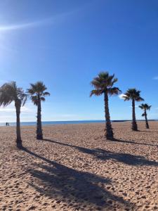 Maisons de vacances Pescad Home Maison 3 etoiles plein centre de Valras a 130m de la plage : photos des chambres