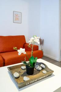 Vieux-Nice 2P climatisé Balcon