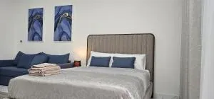 Diana studio W8 - 拉斯阿尔卡麦