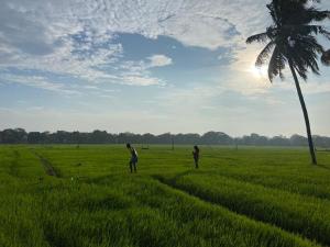 Moonshade Handapanagala