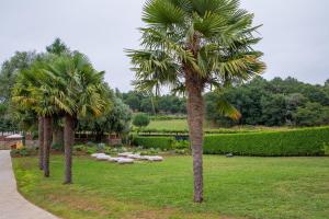 CASA CON ENCANTO (o Refuxio)