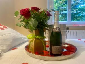 Appartements le Canopee 3 pers appart F1 terrasse fibre centre-ville : photos des chambres