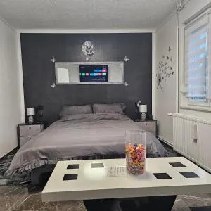 ENA 1&2 -BIG parking - Vojnić