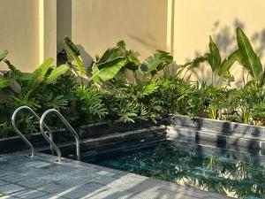 Cốc Cốc Homestay Quảng Bình