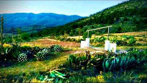 Cabaña 7 APPLE CAMP