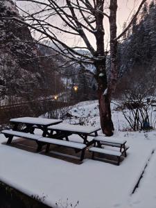 Idyllic Mountain Hütte -Gesäuse Nationalpark
