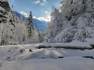 Idyllic Mountain Hütte -Gesäuse Nationalpark