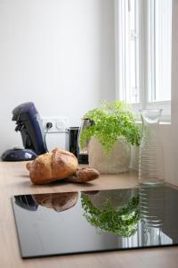 Appartements Sejour de Charme T3 Centre Historique Bergerac : photos des chambres