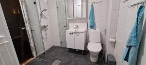 Villa Vahonranta beach house