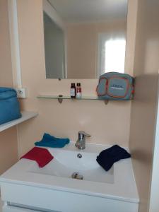 Mobil-home Le 154 aux Iscles