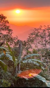 villaseñoritaincognita