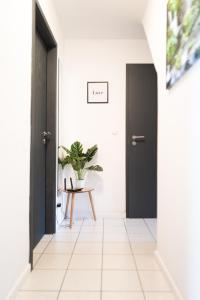 #622 gemütliche Wohnung mit Disney,Prime und Netflix