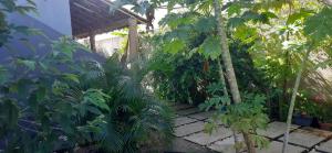 Vila Floresta - Arraial DAjuda