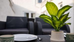 3 bedroom home by the beach